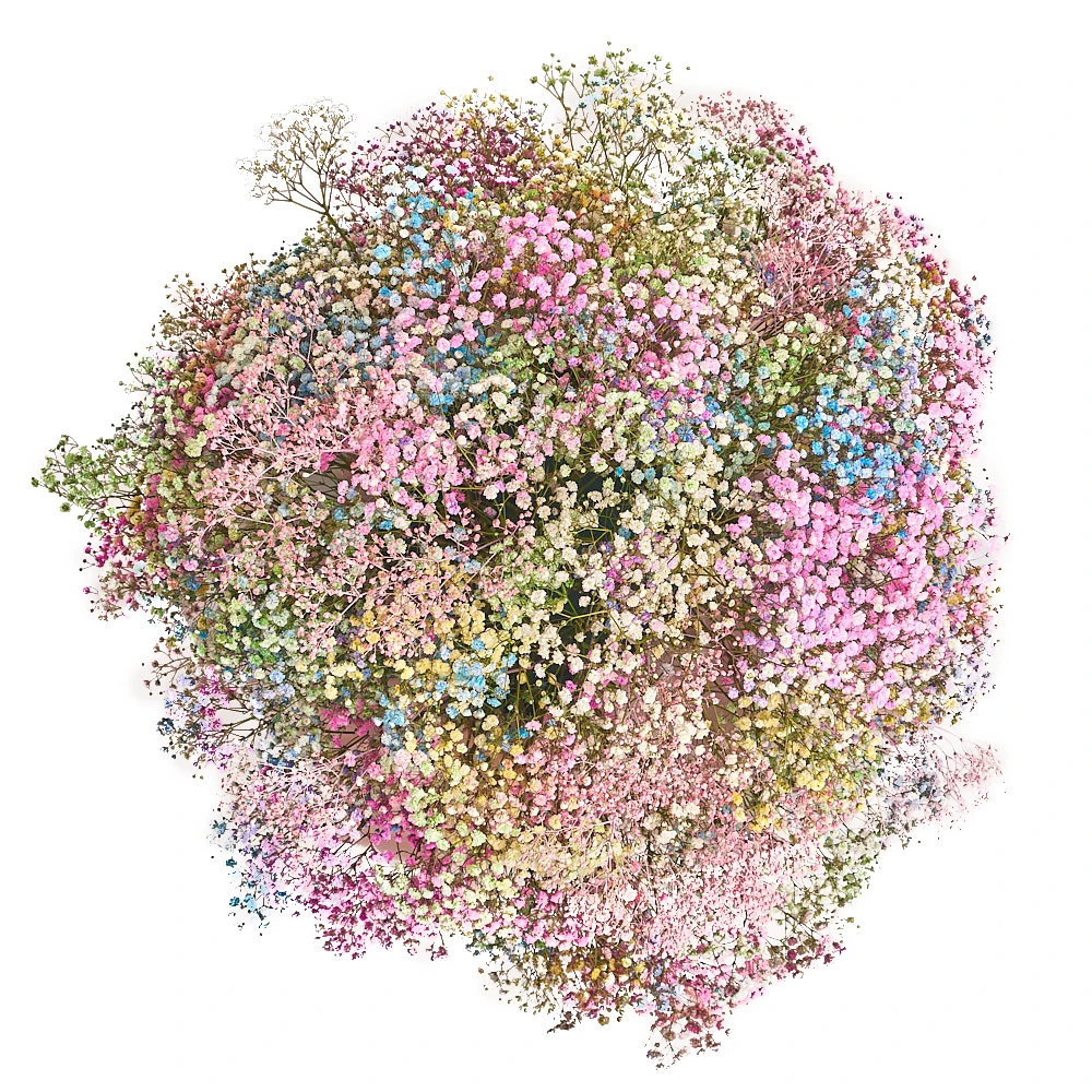 Цветы в коробке 